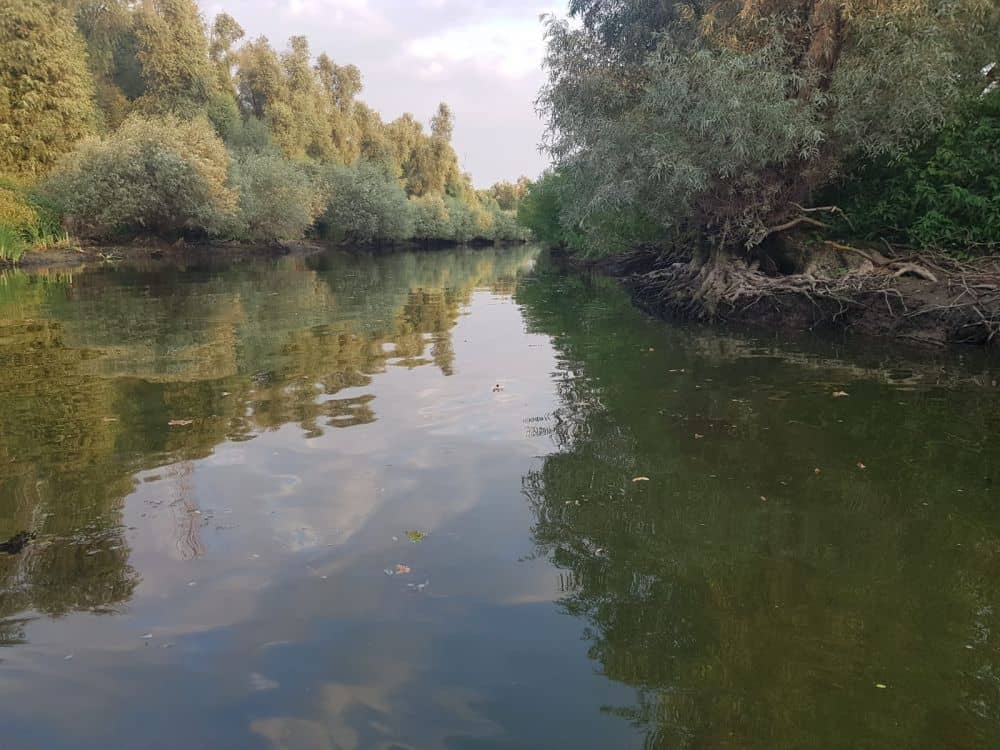 gallery/thumbnails/Delta_dunarii_canal.jpeg