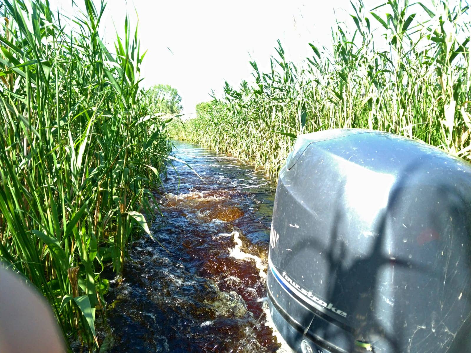 gallery/thumbnails/Delta_dunarii_canal_3.jpeg