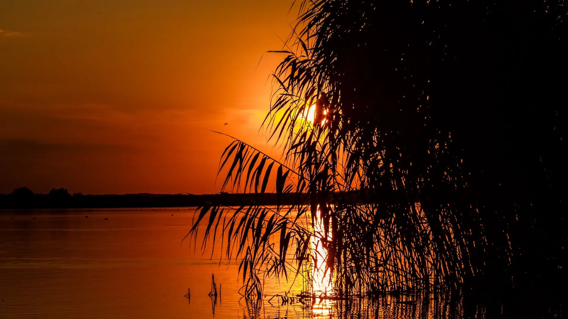 Explorează Delta Dunării